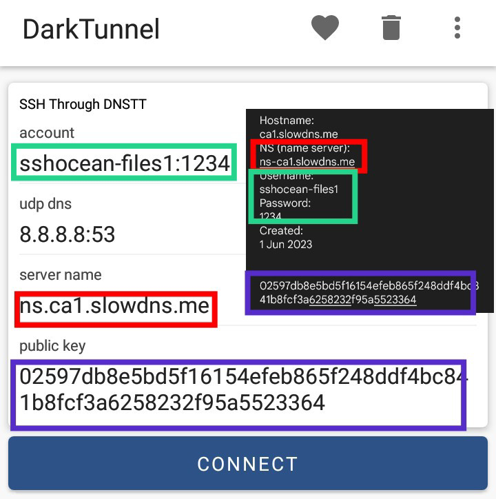 Paste DARK TUNNEL SLOWDNS Account Details