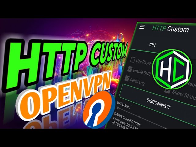 http custom openvpn settings