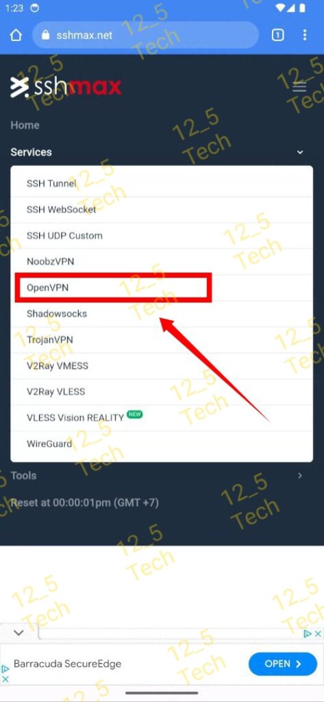 sshmax Openvpn menu