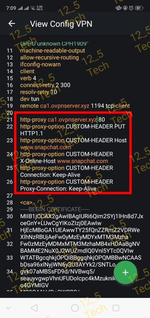 openvpn custom payload