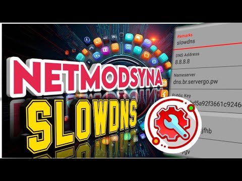 NETMOD SYNA SLOWDNS