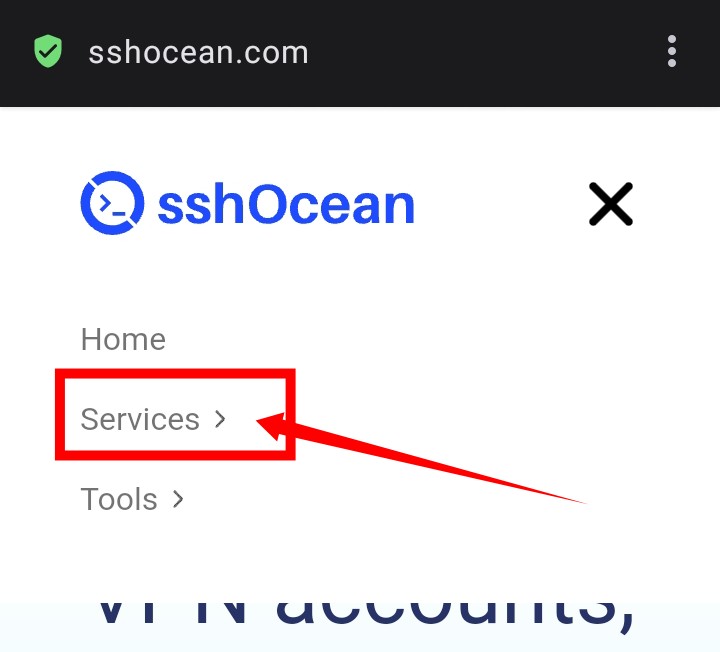 servcie menu on sshocean