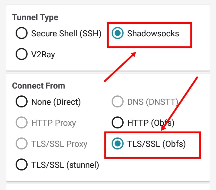 shadowsocks  tls obfuscation protocol  on http injector