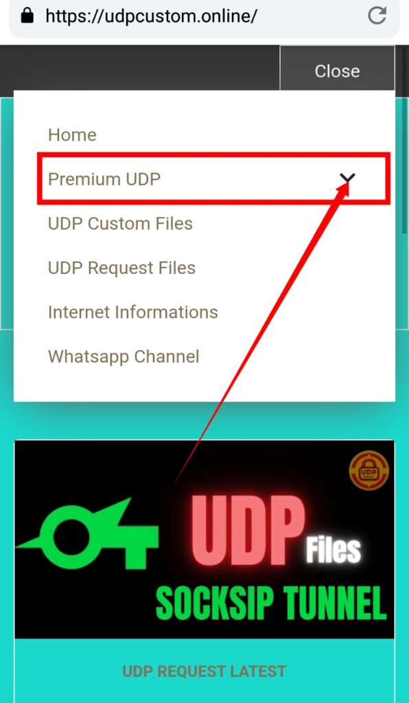 acess premium udp server