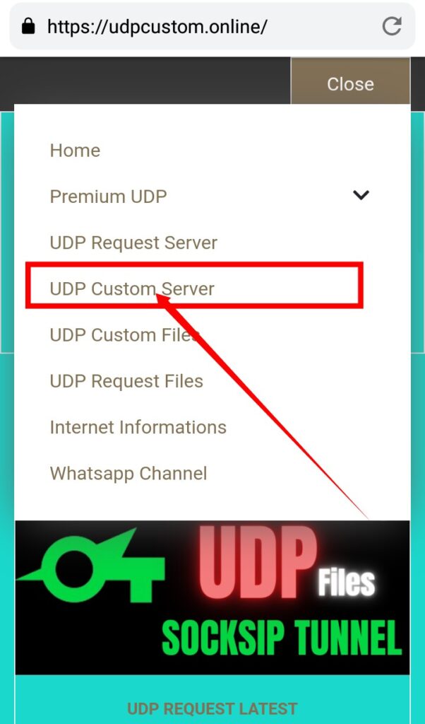 choose udp custom sever