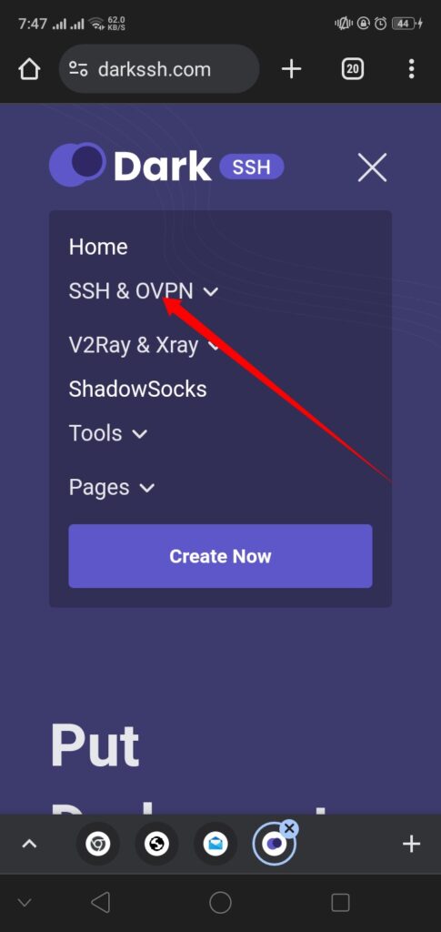 Navigate to SSH OVPN