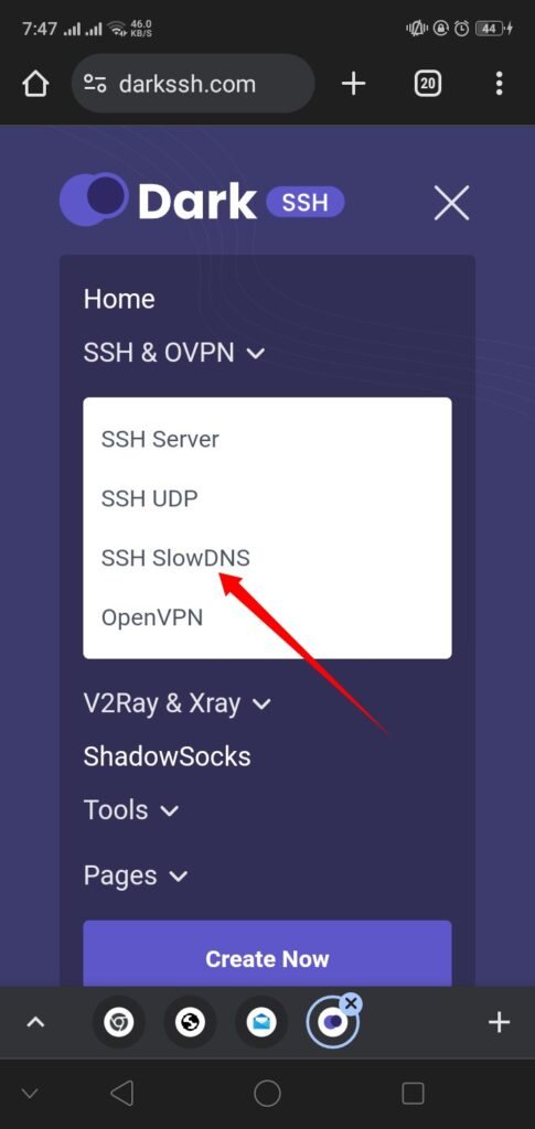 Select SSH SLOWDNS