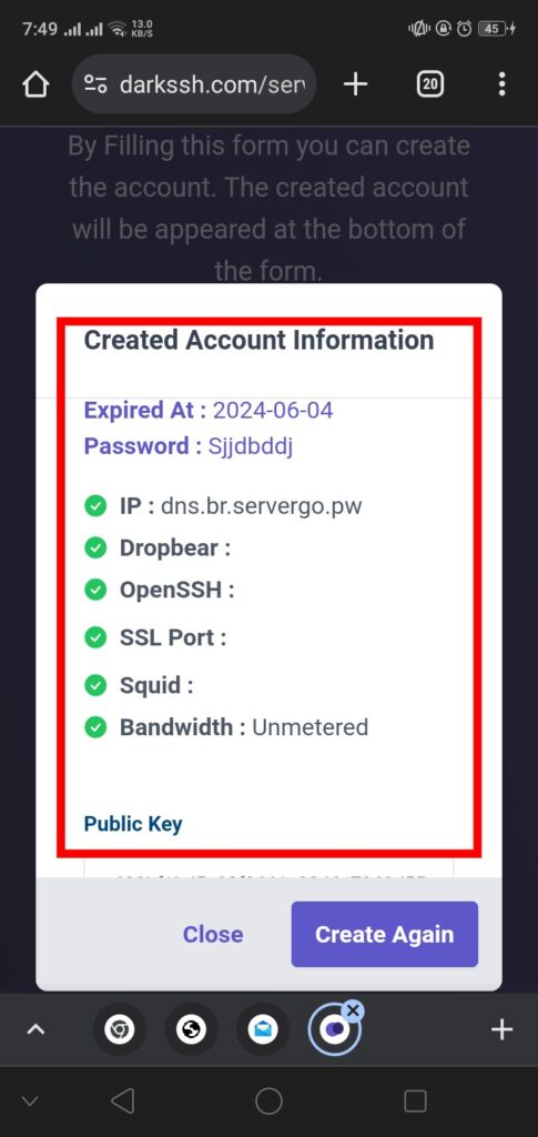 COPY SLOWDNS SERVER DETAILS