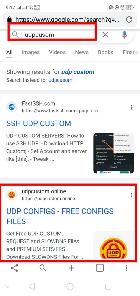 udp custom website