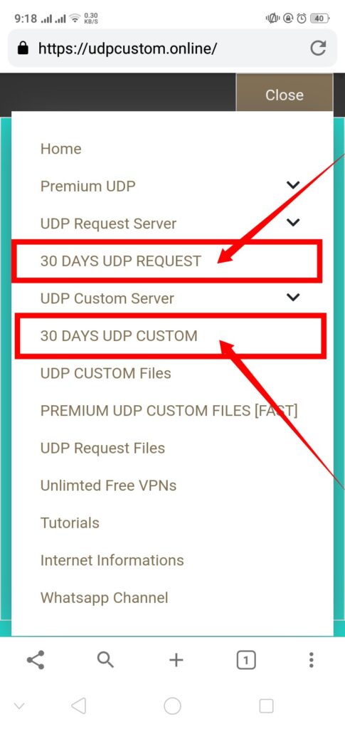 30 days udp server