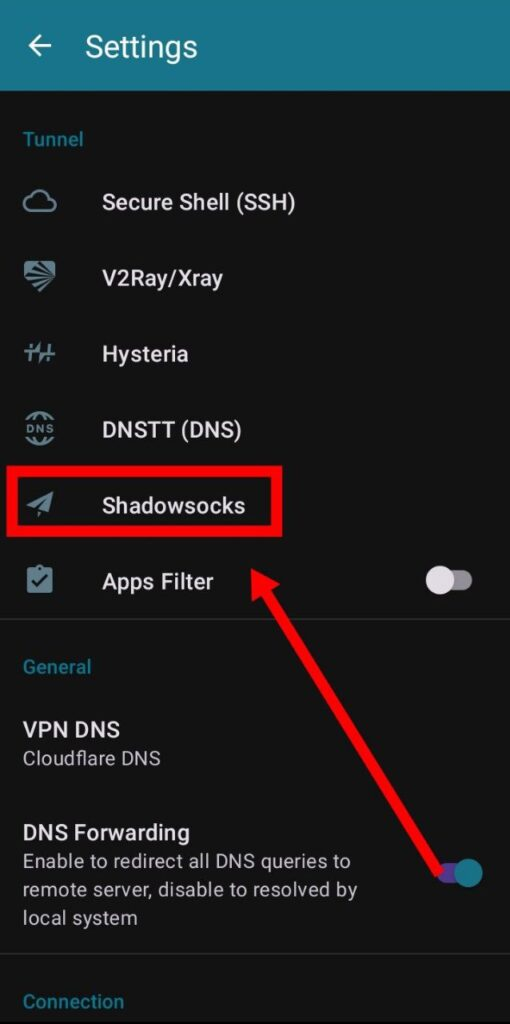 Configuring Shadowsocks Settings