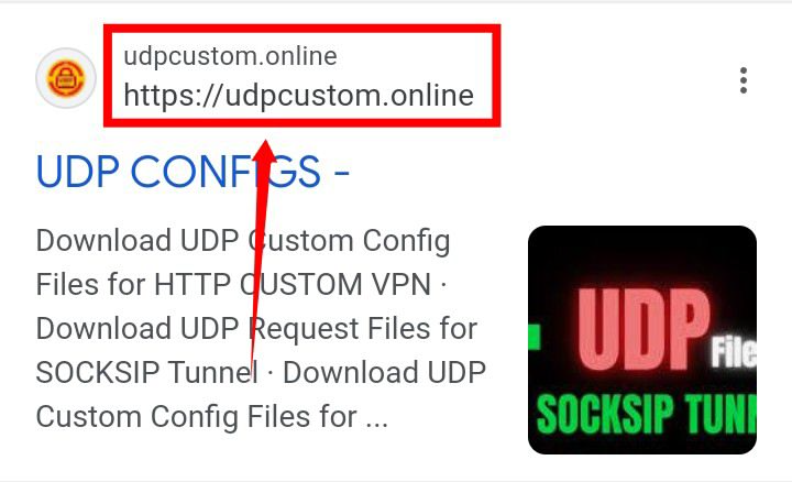 udpcusrom website