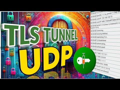 tls tunnel udp settings