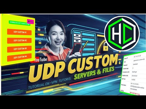 udp custom server